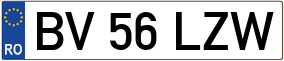 Truck License Plate